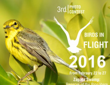 3rd. PHOTO CONTEST BIRDS IN FLIGHT 2016 Dal 22 al 27 Febbraio 2016